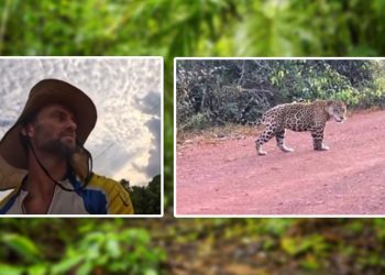 “SAI FORA” ciclista é perseguido por onça em estrada. VÍDEO