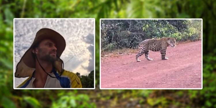 “SAI FORA” ciclista é perseguido por onça em estrada. VÍDEO
