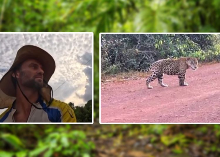 “SAI FORA” ciclista é perseguido por onça em estrada. VÍDEO