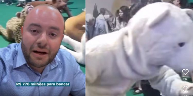 Deputado gera polêmica ao fazer crítica sobre pessoas fantasiadas de animais na COP-30. VÍDEO