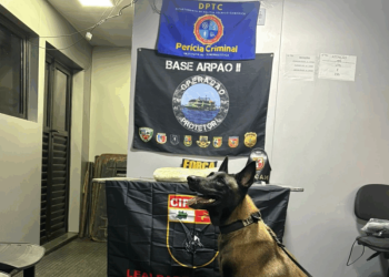 Tentou trazer drogas de Coari para Manaus mas foi preso em embarcação