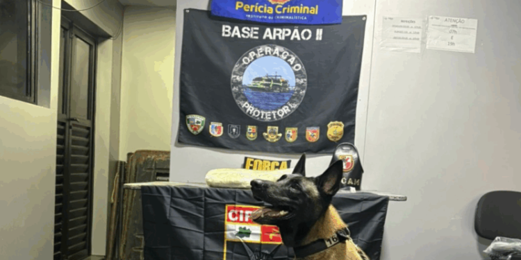 Tentou trazer drogas de Coari para Manaus mas foi preso em embarcação