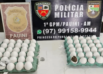 Ovos recheados de drogas eram encaminhados para detentos
