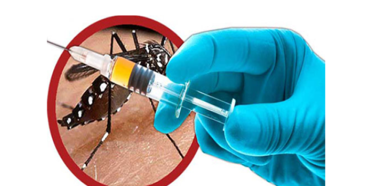 Vacina contra a dengue estará disponível no início de 2026; Anvisa e Butantan assinam termo final