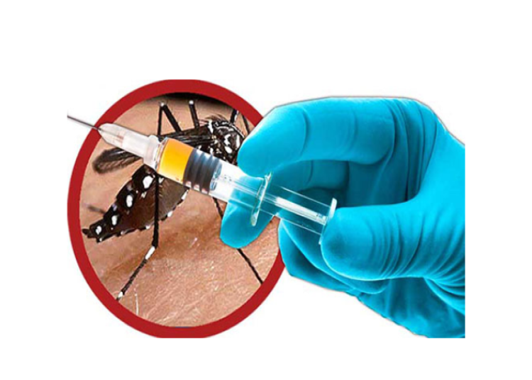 Vacina contra a dengue estará disponível no início de 2026; Anvisa e Butantan assinam termo final