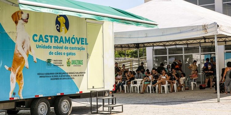 Agendamento Castramóvel tem 120 vagas e vacinação gratuita nesta sexta