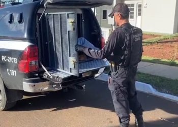 Tudo por amor! Namorada enrola droga em cobertor para levar ao “boy” na penitenciária