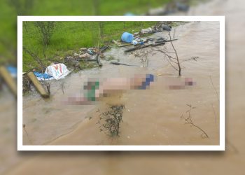 Corpo com sinais de violência é encontrado em lago