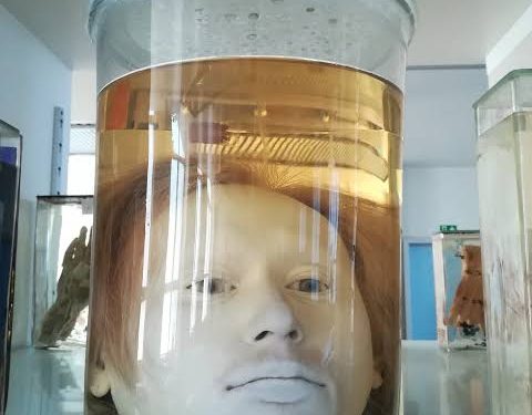 BIZARRO – Olhos de Serial Killer continuam abertos encarando as pessoas