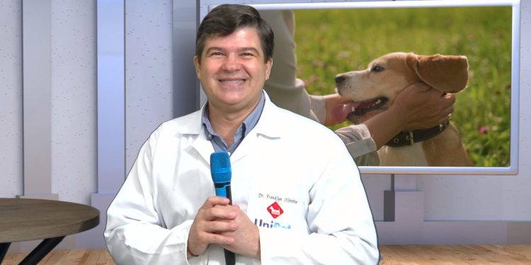 Pet é Família A Voz dos Inocentes