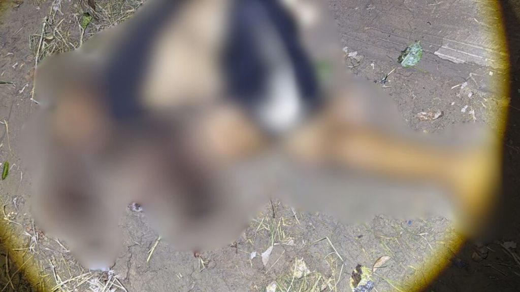 Veja: Após tiro na nuca, homem é deixado amarrado no Colônia Santo Antônio