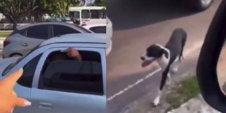 “Leve o seu cachorro”: Motoqueira se revolta e acusa homem de abandonar animal em Manaus; VÍDEO