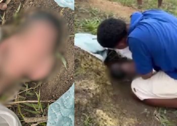 Vídeo mostra recém-nascida sendo achada chorando atrás de formigueiro em mata