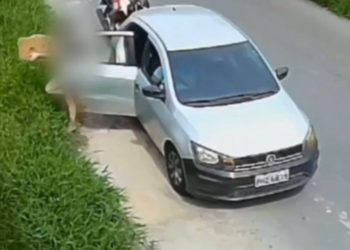 Polícia identifica mãe e filha que deixaram caixa com cadela e filhotes no Nova Cidade