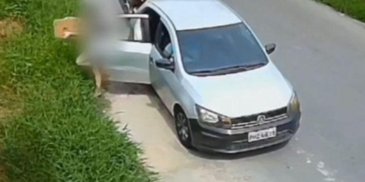 Polícia identifica mãe e filha que deixaram caixa com cadela e filhotes no Nova Cidade