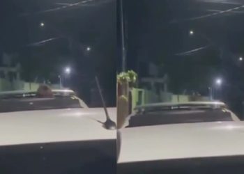 “Passada”: Novinha paraense é flagrada no ‘sobe e desce’ dentro de carro; veja o vídeo