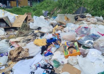 Sujismundo – Cidade mais limpa é a que menos se suja