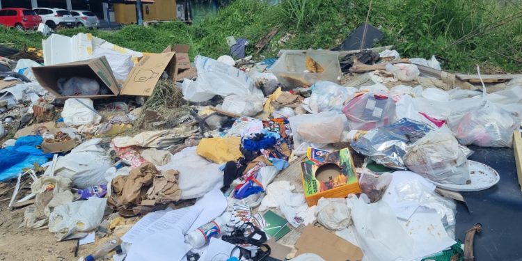 Sujismundo – Cidade mais limpa é a que menos se suja