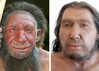 Gênero masculino entrará em extinção, diz ciência