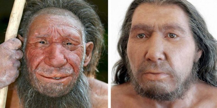 Gênero masculino entrará em extinção, diz ciência