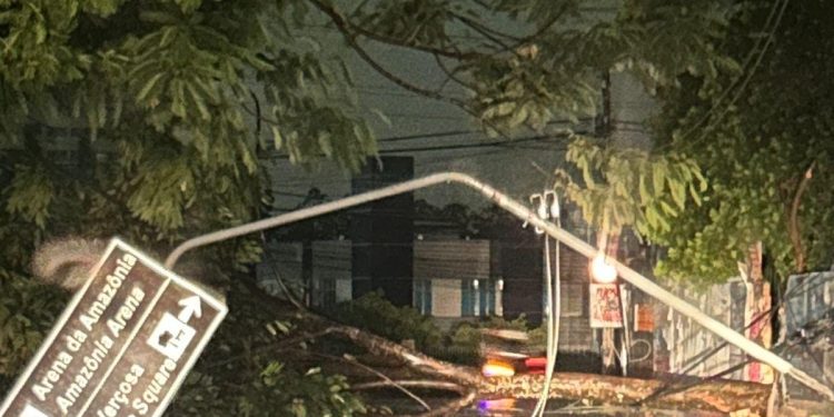 Destruição – Após mais de 30 ocorrências por causa da chuva, Manaus amanheceu revirada