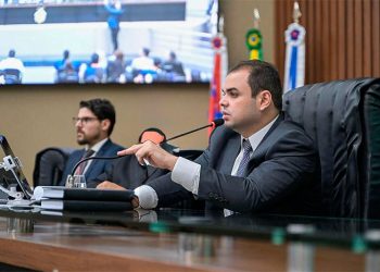 Ao invés de Selo Diamante, o Legislativo estadual levou o Selo Abacaxi