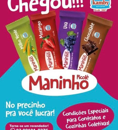 Quer Ganhar uma renda Extra e lucrar nesse Final de Ano? Então vem para a Kamby Sorvetes