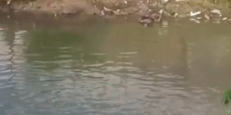 Esfaqueado durante perseguição, tentou fugir pelo igarapé, mas morreu. VÍDEO