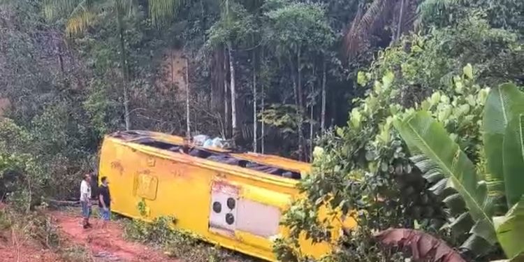 Ônibus perde controle e tomba na BR-319