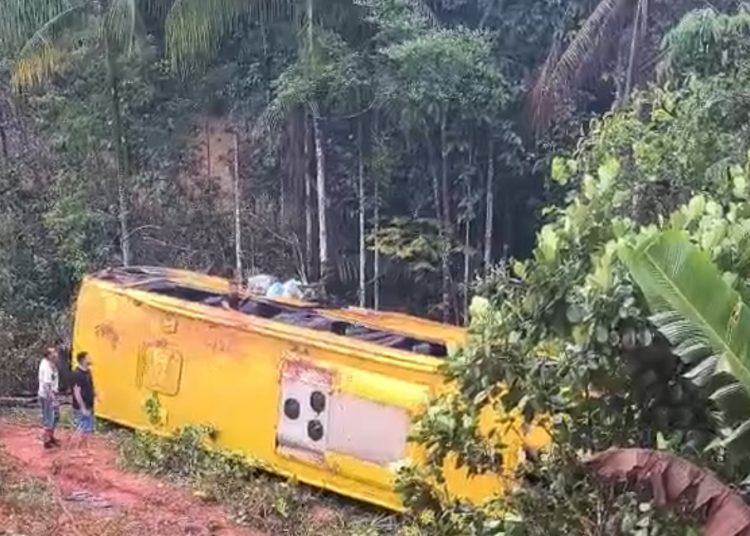 Ônibus perde controle e tomba na BR-319