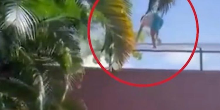 VÍDEO FORTE – Invadiu zoológico e leoa não perdoou