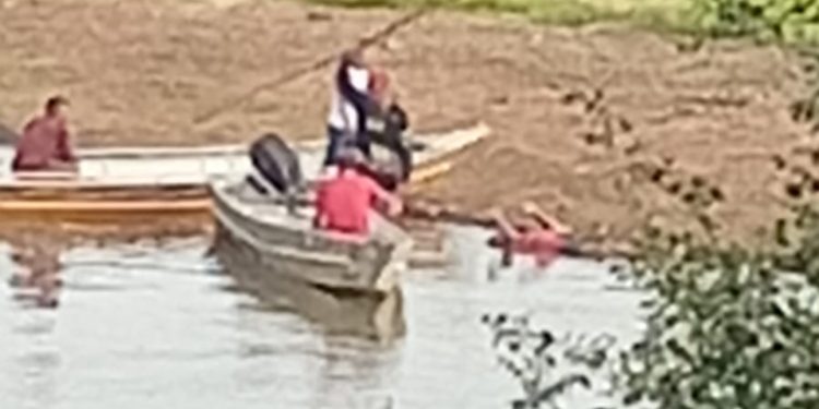 Encontrado boiando; quase vira comida de peixe