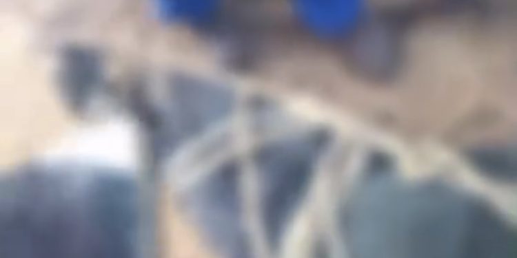 VÍDEO FORTE – Encontrado morto com os olhos furados; suposto assassino de mãe de Isabelly Aurora