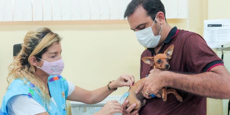 Prorrogada campanha antirrábica até 29 de dezembro