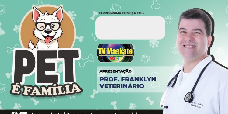 Hoje tem Cãoversa, denúncia de maus-tratos e história inspiradora de um abrigo que transforma vidas