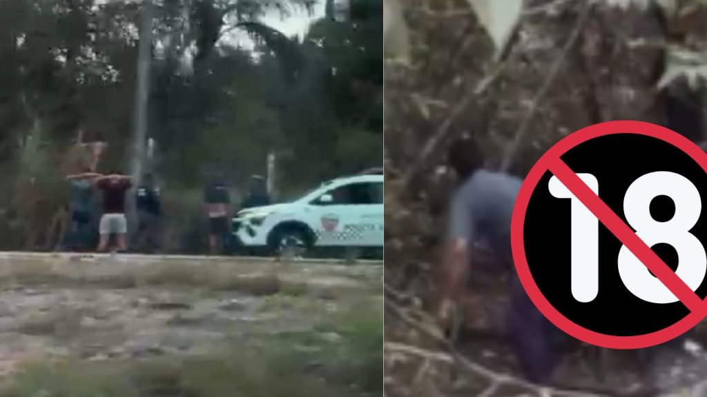 Após denúncia, PMs pegam homens 'cutucando o t0ba' dentro de mata no Distrito