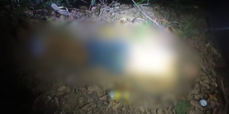 Denúncia salva homem que estava sendo torturado para morrer em mata em Manaus