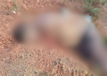 Veja: Corpo é achado amarrado e ‘ticado’ por facadas em trecho da Estrada de Autazes