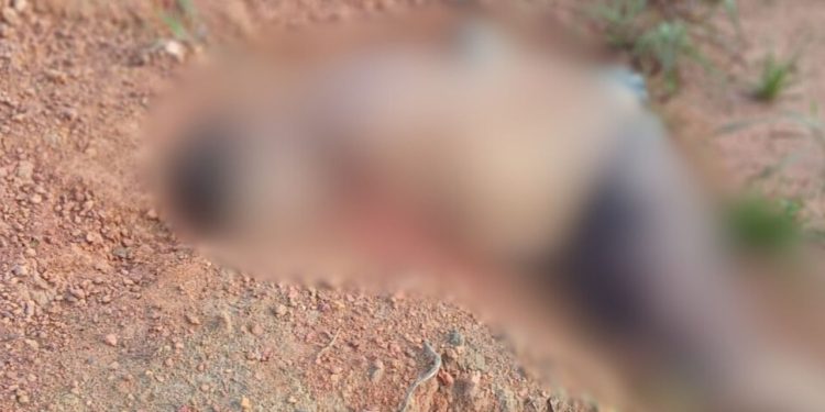 Veja: Corpo é achado amarrado e ‘ticado’ por facadas em trecho da Estrada de Autazes