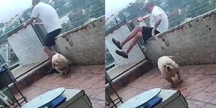 Vídeo mostra homem caindo de laje após ser ‘atropelado’ pelo seu cachorro