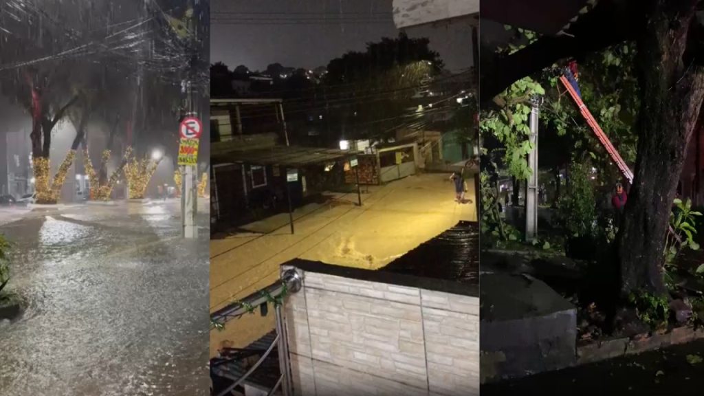 Alagações, árvores tombadas e erosões: Manaus registra mais de 30 ocorrências durante a chuva; VÍDEOS