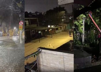 Alagações, árvores tombadas e erosões: Manaus registra mais de 30 ocorrências durante a chuva; VÍDEOS