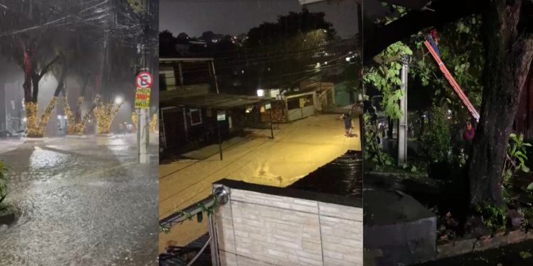 Alagações, árvores tombadas e erosões: Manaus registra mais de 30 ocorrências durante a chuva; VÍDEOS