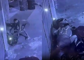 Revoltante: homem mata cachorro enforcad0 e arremessa corpo no chão no Amazonas; veja o vídeo