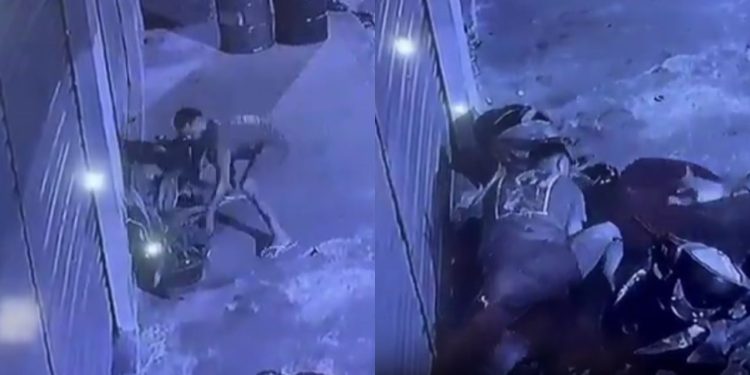 Revoltante: homem mata cachorro enforcad0 e arremessa corpo no chão no Amazonas; veja o vídeo