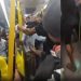 Vovozinha caga em ônibus e apanha após sair jogando nos passageiros: "Não bate nela"