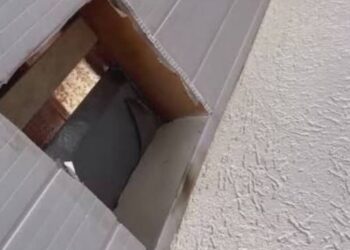 Suspeito de latrocínio é preso escondido em forro de casa no Parque das Nações