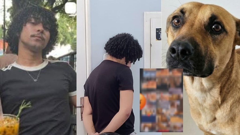 À polícia, homem afirma que estava drogado e quis "experimentar” ter 'rel4ções' com cadela em Manaus