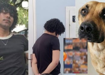 À polícia, homem afirma que estava drogado e quis "experimentar” ter 'rel4ções' com cadela em Manaus