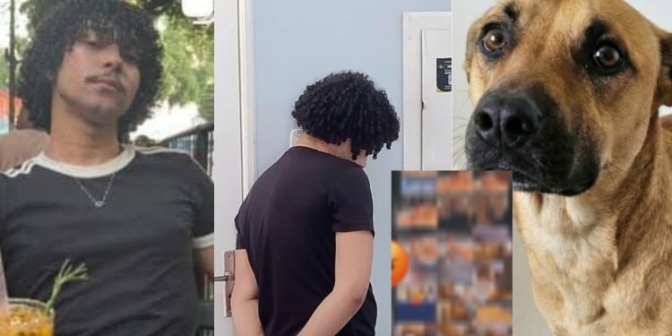 À polícia, homem afirma que estava drogado e quis "experimentar” ter 'rel4ções' com cadela em Manaus